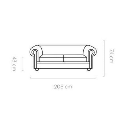 Canapea Manchester 3, personalizabil, 205x100x74 cm