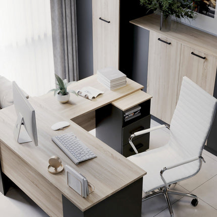 Comoda birou OFFICE NEW, gri antracit/stejar sonoma, PAL, 41x45x73 cm
